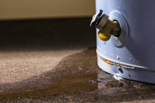 Best Water damage cleanup near me  in Commerce, CA