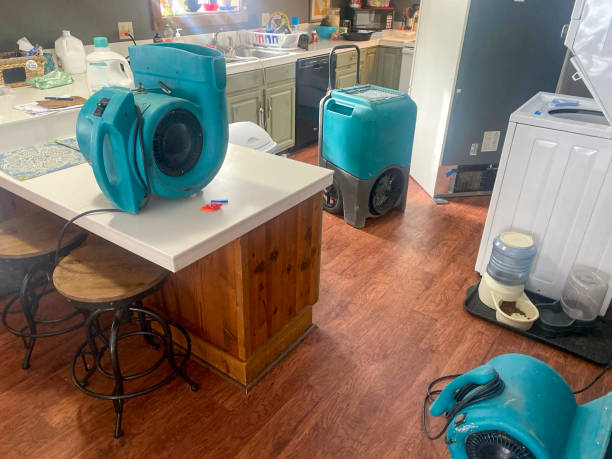 Best Mold removal after water damage  in Commerce, CA
