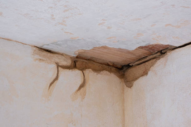 Water damage restoration mold remediation in Commerce, CA