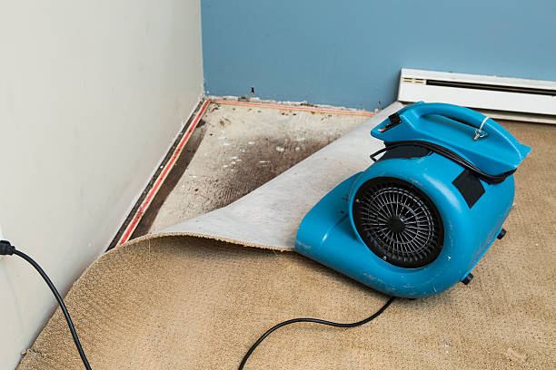 Best Fire Damage Restoration  in Commerce, CA